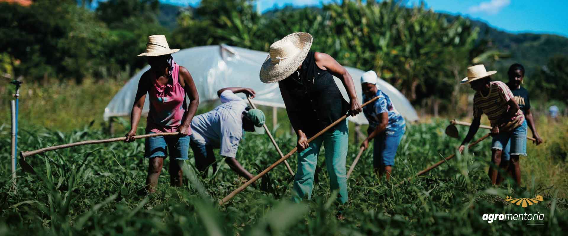 Publicada Portaria com novas condições para implementação do Cadastro Nacional da Agricultura Familiar (CAF)
