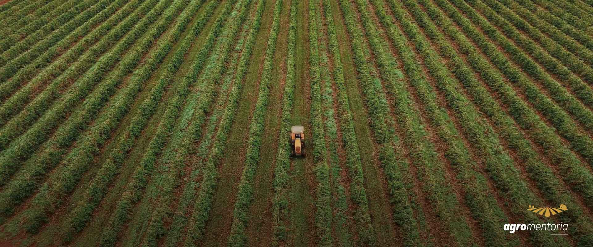 Agro rende faturamento de R$ 120 bilhões em Minas Gerais