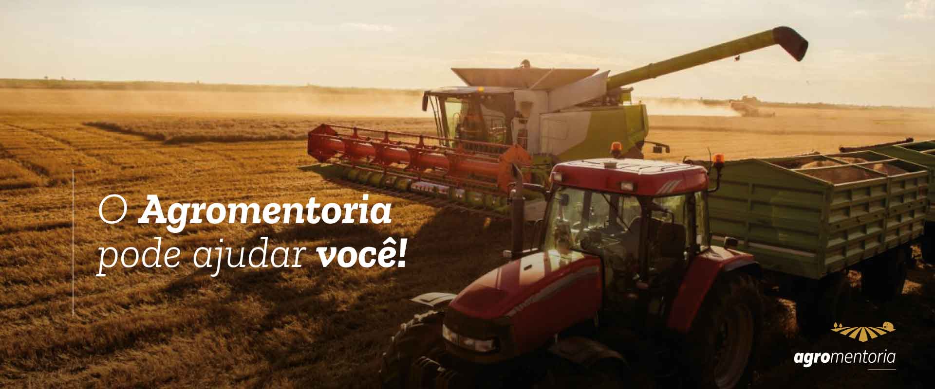 Perdas de Safra de Verão 2021/2022
