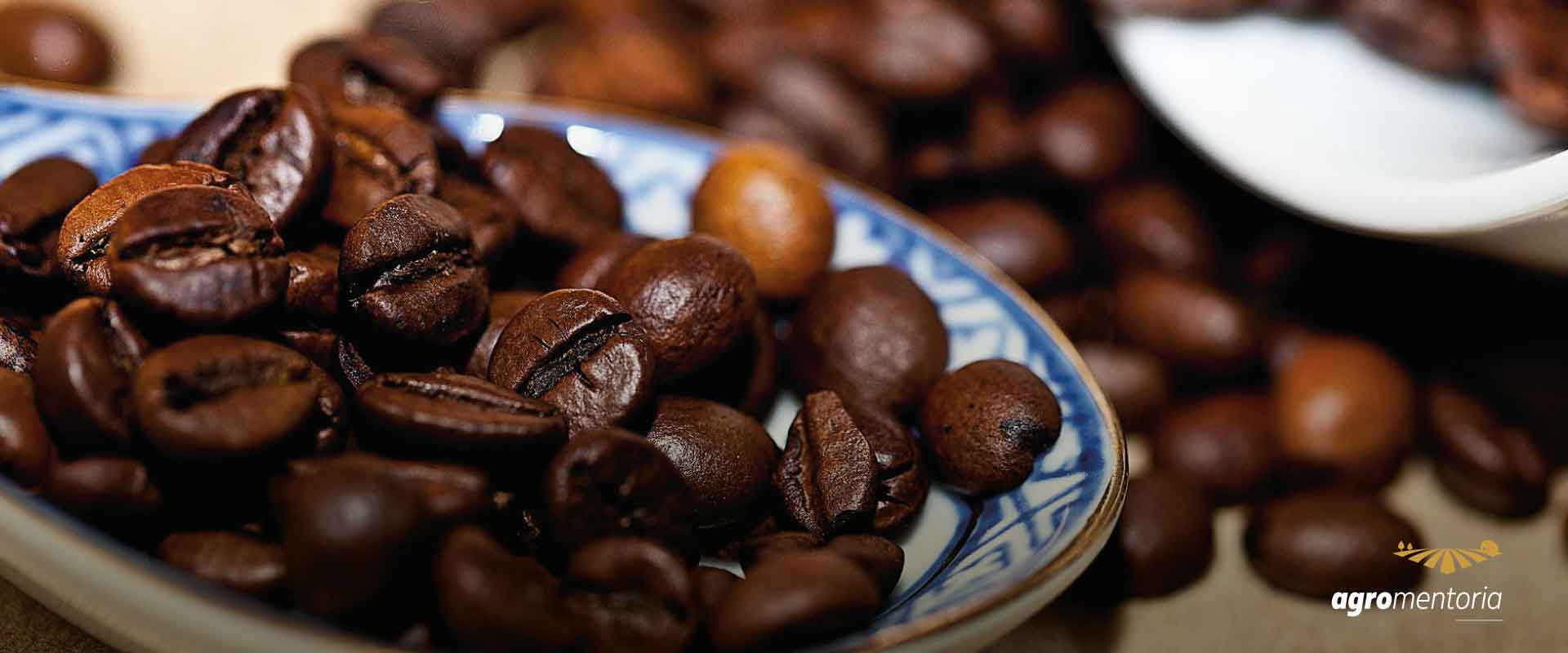 Produtores de café terão mais de R$ 6 bi em crédito neste ano