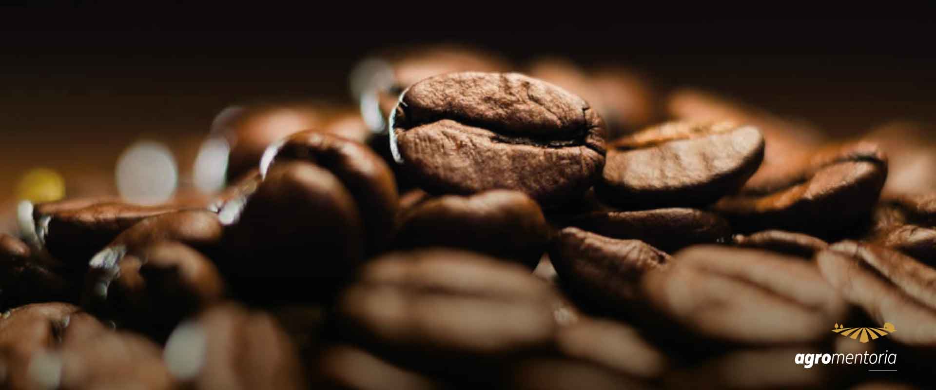 Produção de café rendeu R$ 40,12 bilhões em 2021, diz consórcio