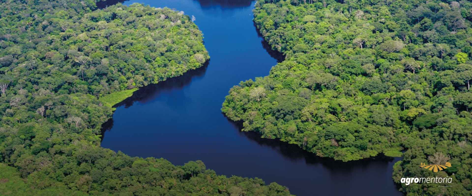Governo Federal edita decreto que cria mercado regulado brasileiro de carbono