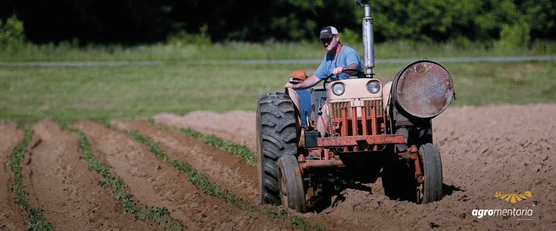 Secretaria do Ministério da Agricultura passa a cuidar do cooperativismo