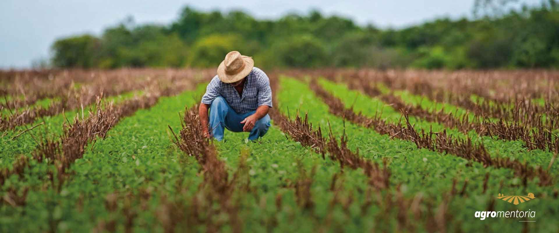 Projeto de Lei quer reduzir dívida bilionária de produtores
