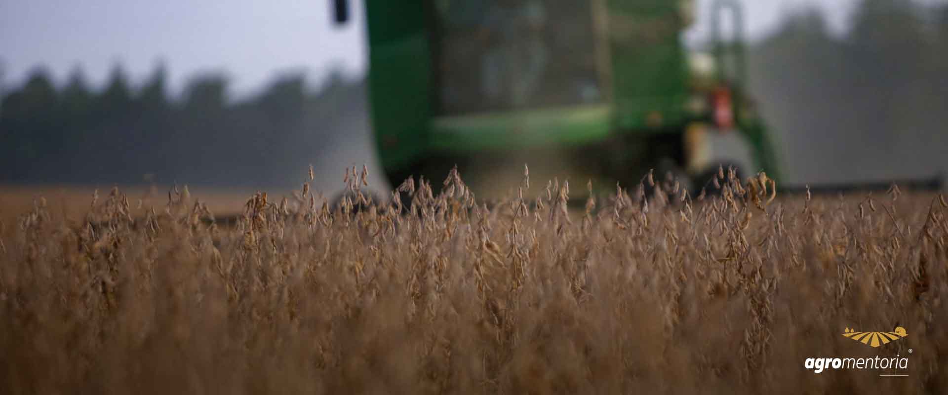 Colheita de soja atinge 24% da área no Brasil, diz consultoria