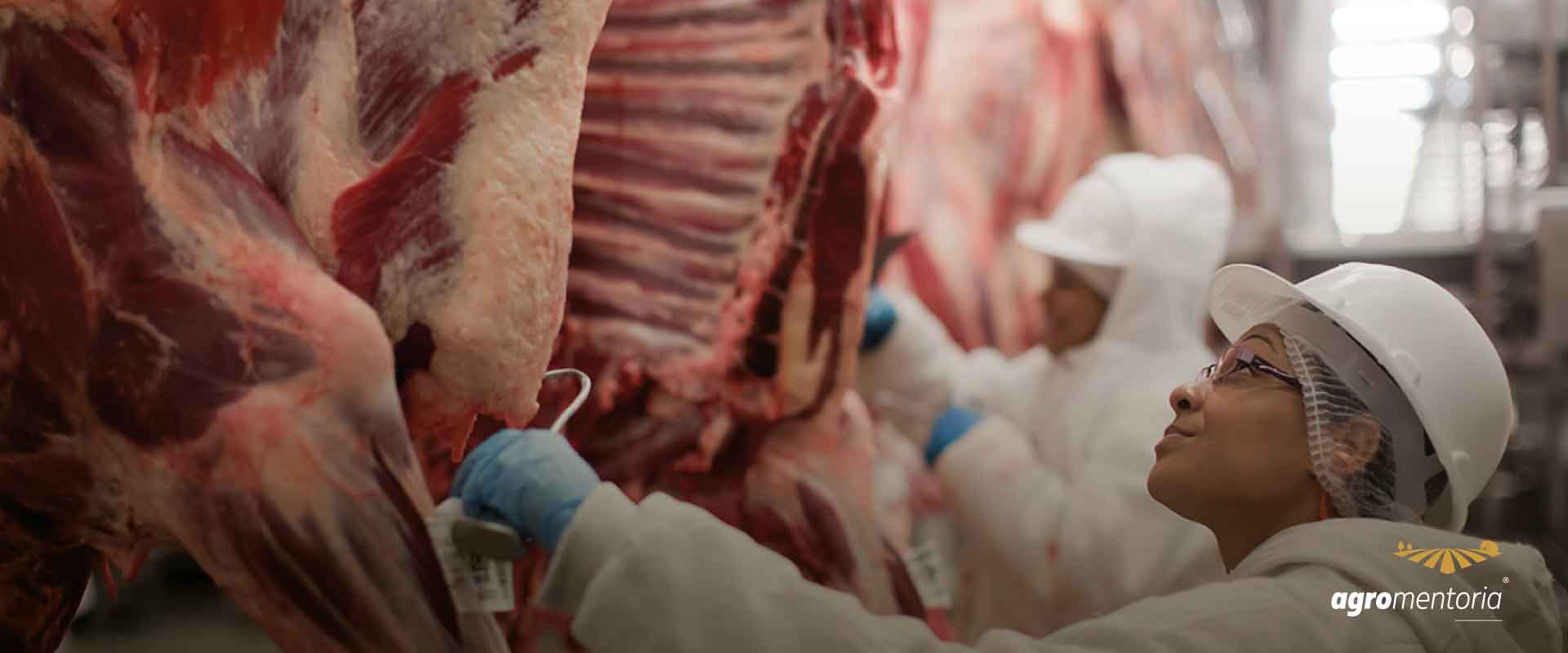 Exportações de carnes de boi, frango e suína atingem marca histórica