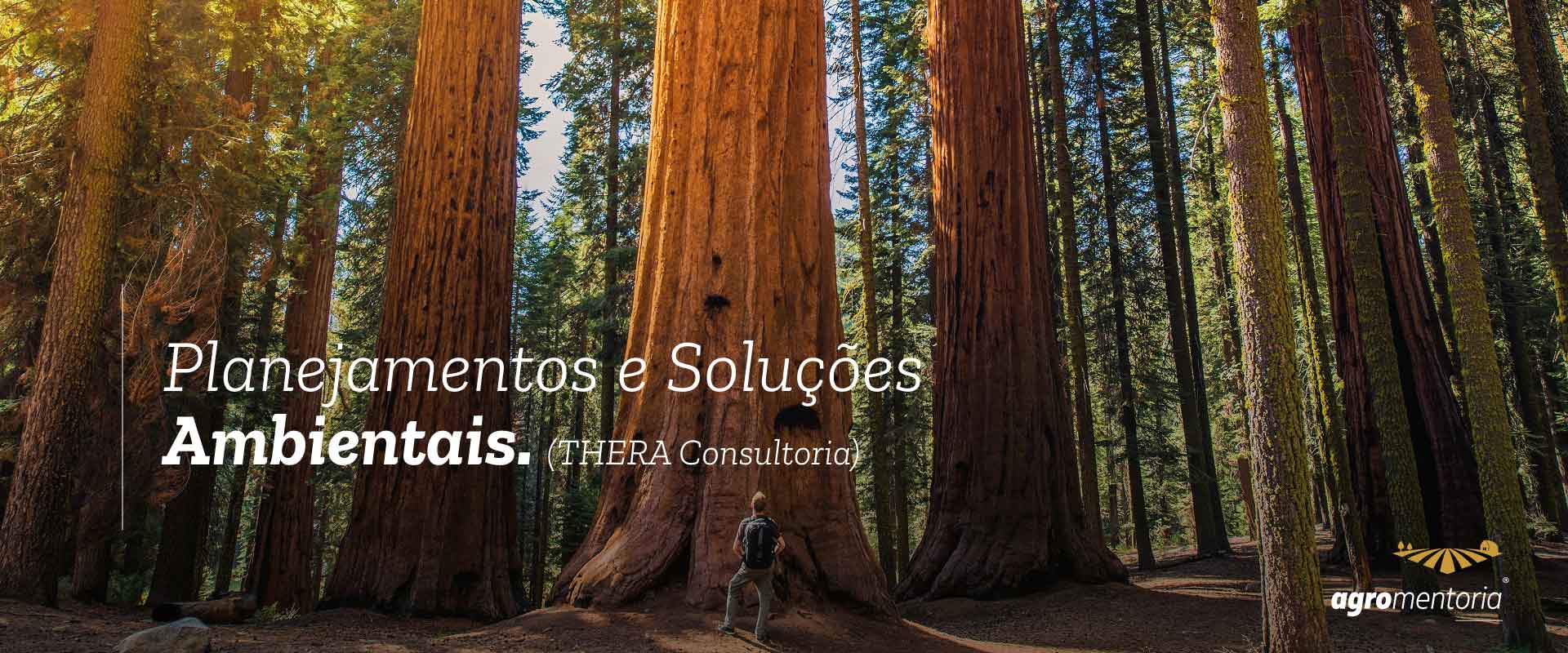 Estudos e Projetos Ambientais