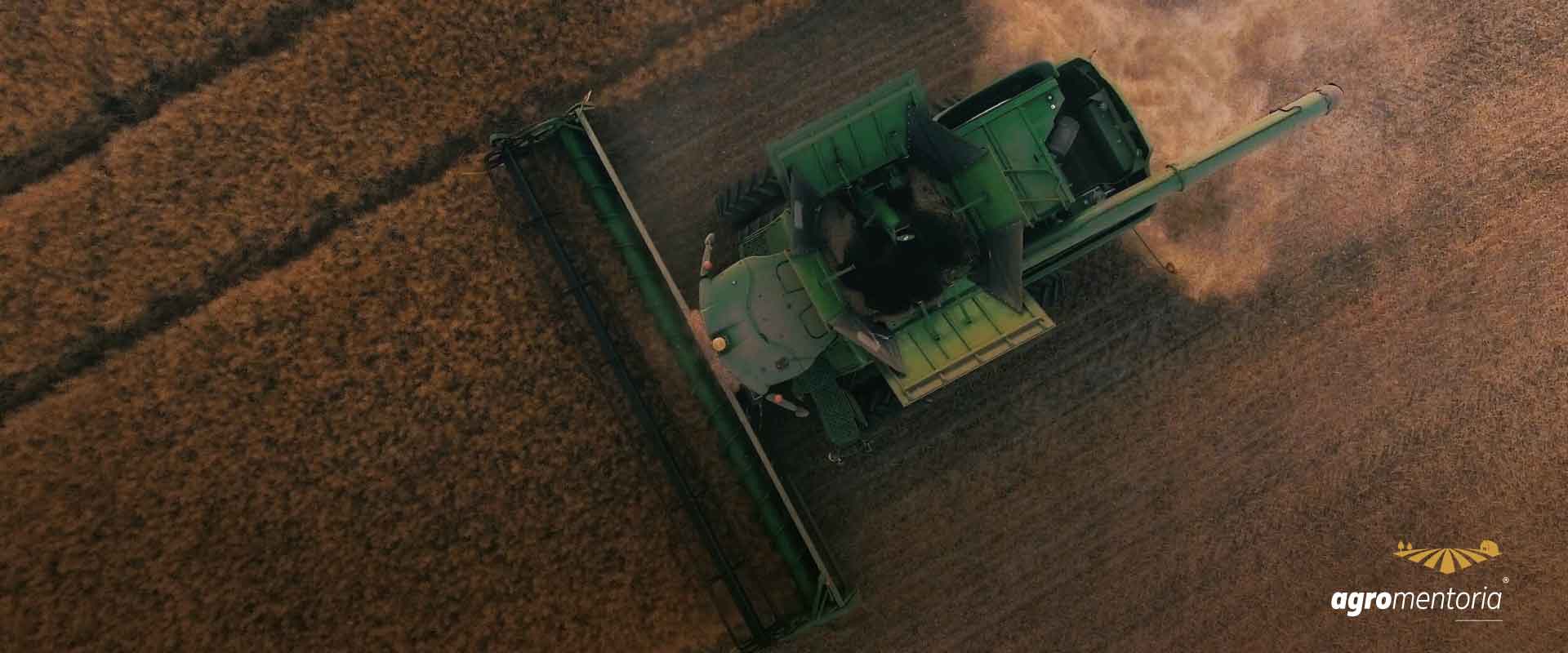 Valor da produção agropecuária de 2022 está estimado em R$ 1,207 trilhão