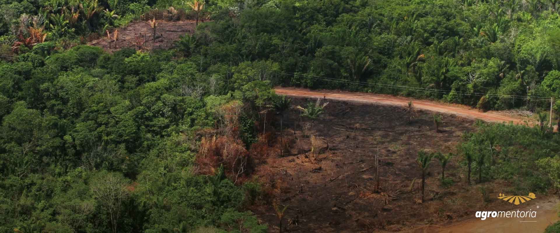 FPA acredita na aprovação do licenciamento ambiental no primeiro semestre de 2022