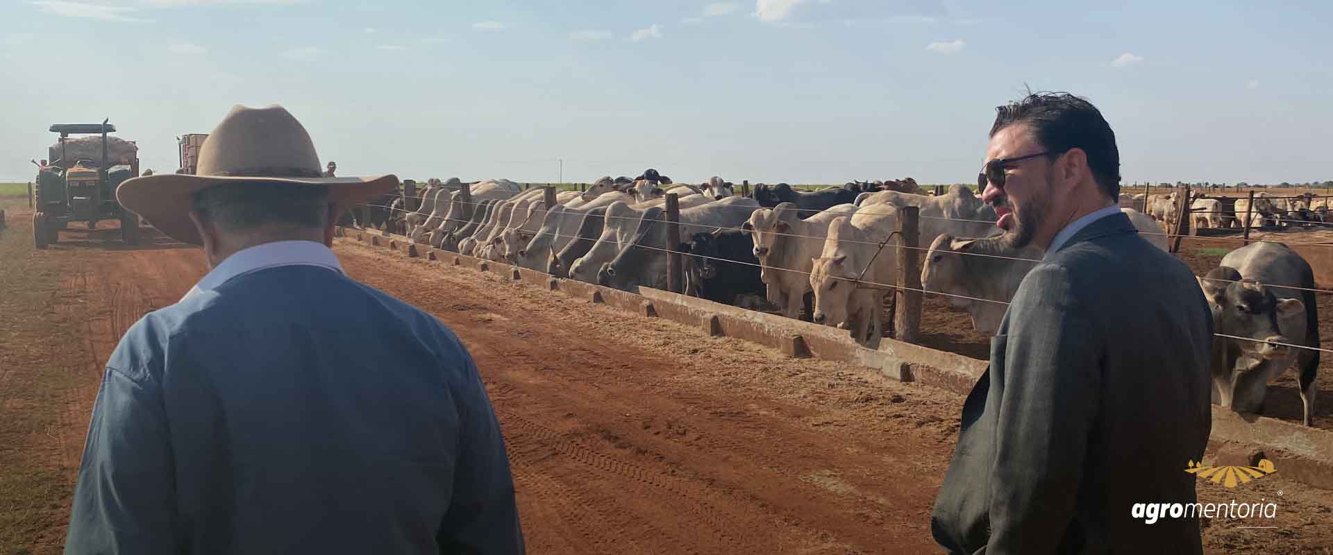 Crédito rural, solução para passivos