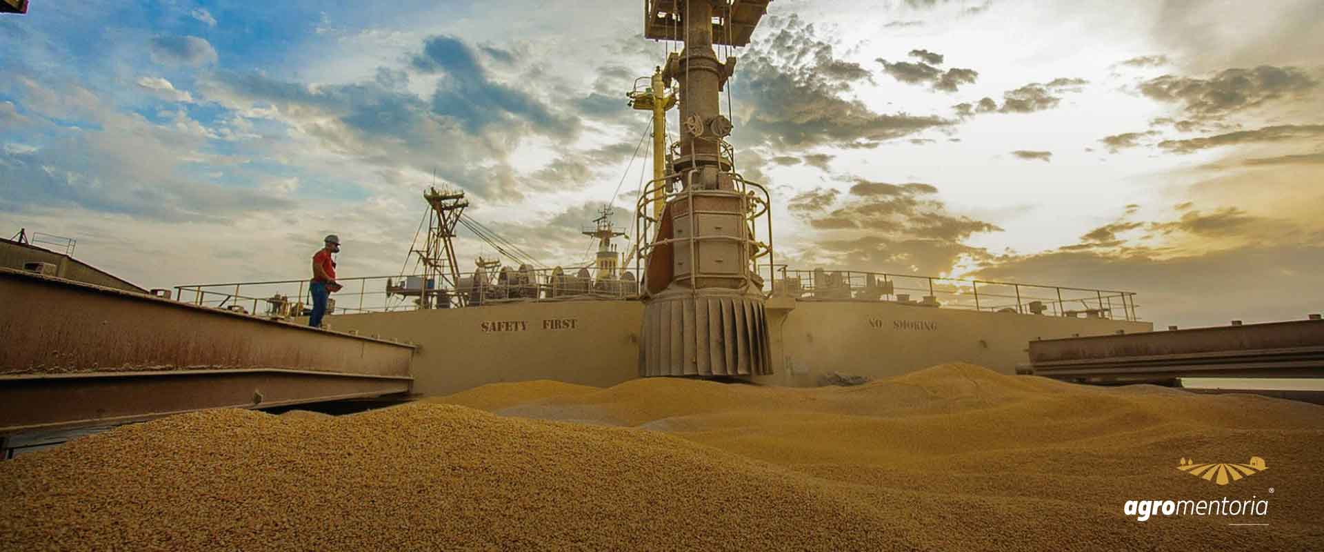 Oferta de milho no Brasil deve superar 124 mi de toneladas em 2022