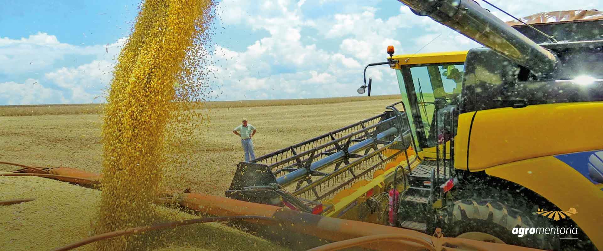 PIB agro avança 10% no acumulado do ano até setembro