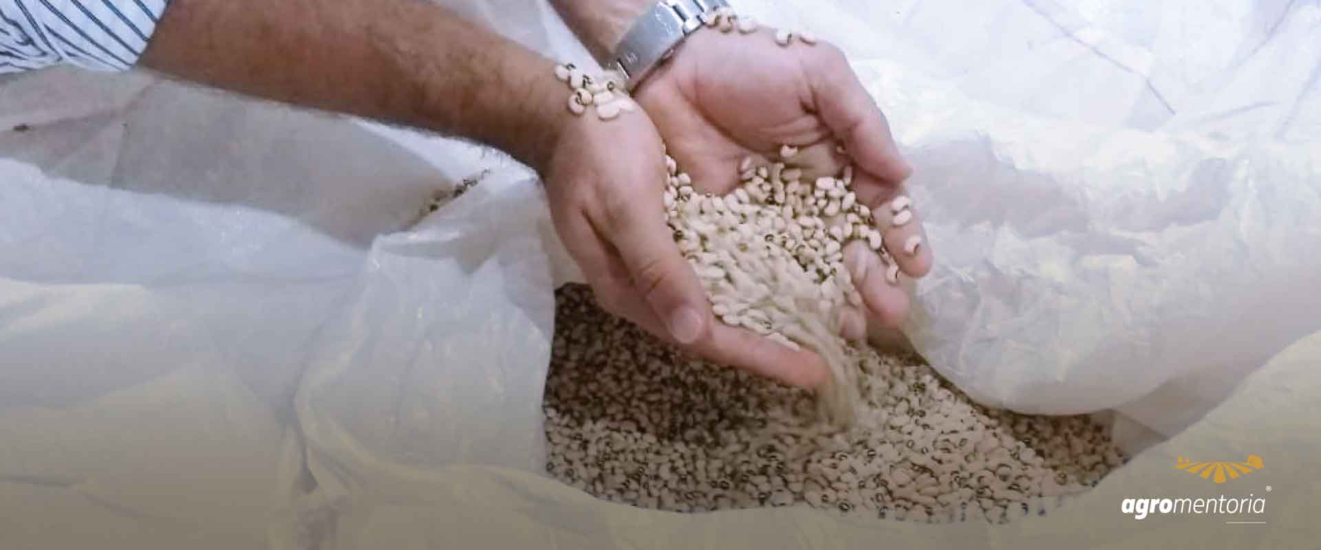 Produtos agrícolas não podem ser enquadrados como bens de capital essenciais, decide STJ