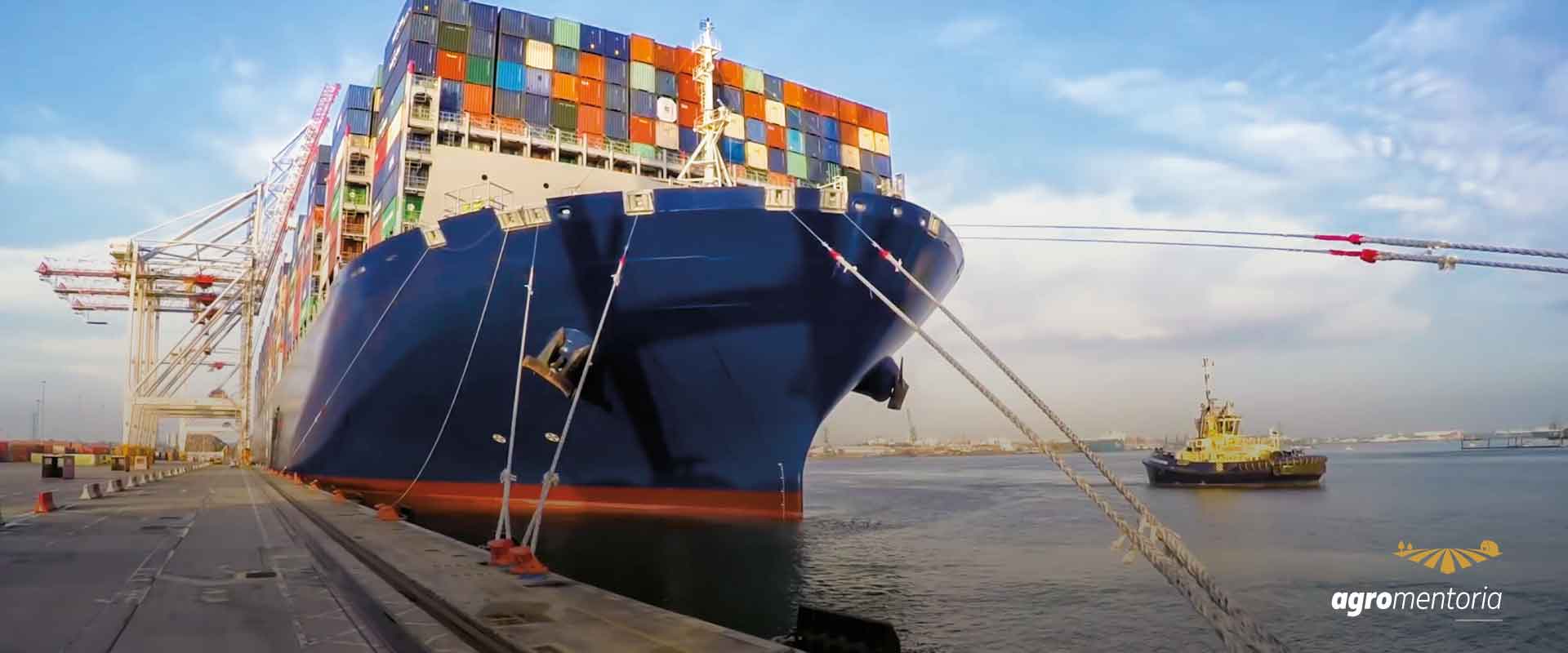 Exportações do agronegócio batem recorde em dezembro e no ano de 2021