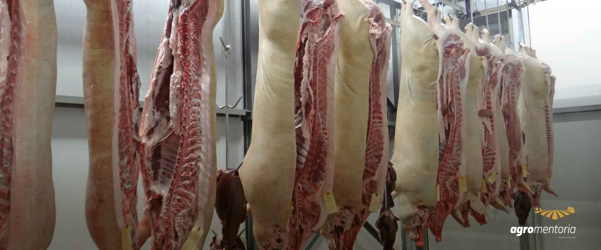 Carne suína: Brasil consolida recorde de volume exportado em 2021