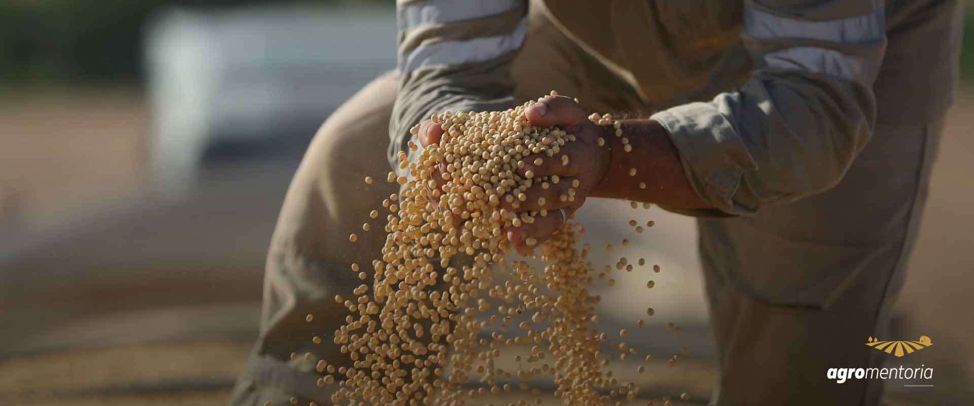 Brasil deve colher 284,3 milhões de toneladas na safra 21/22, diz Conab