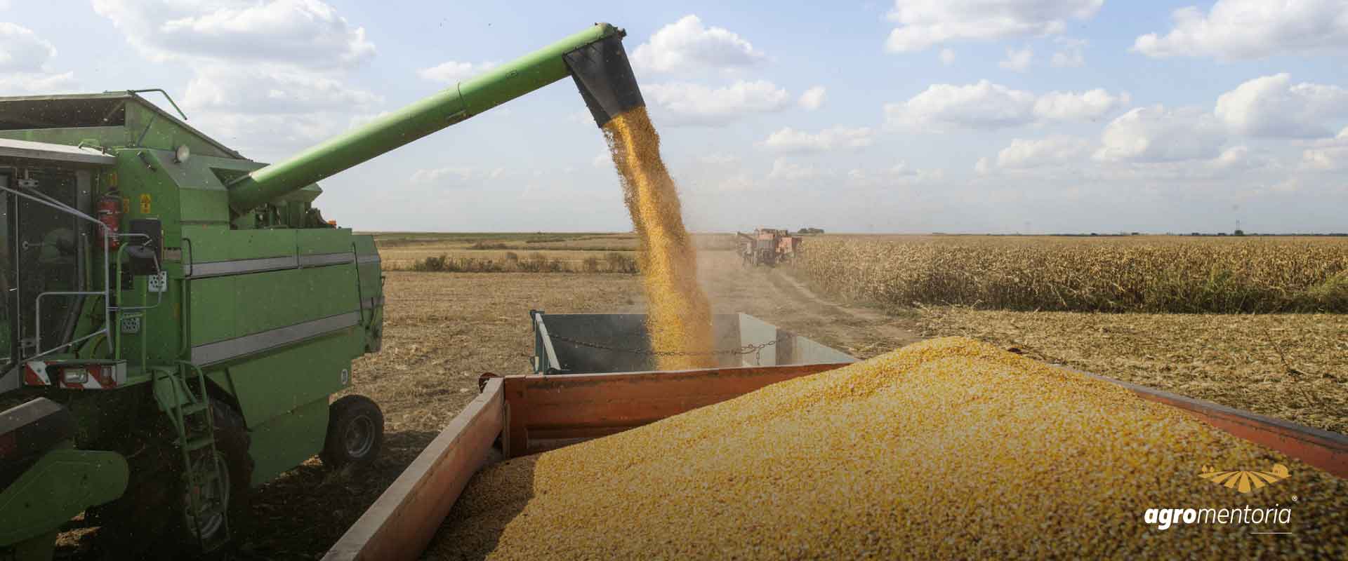 Produção de grãos é estimada em 272,5 milhões de toneladas com clima favorável para as culturas de 2ª safra