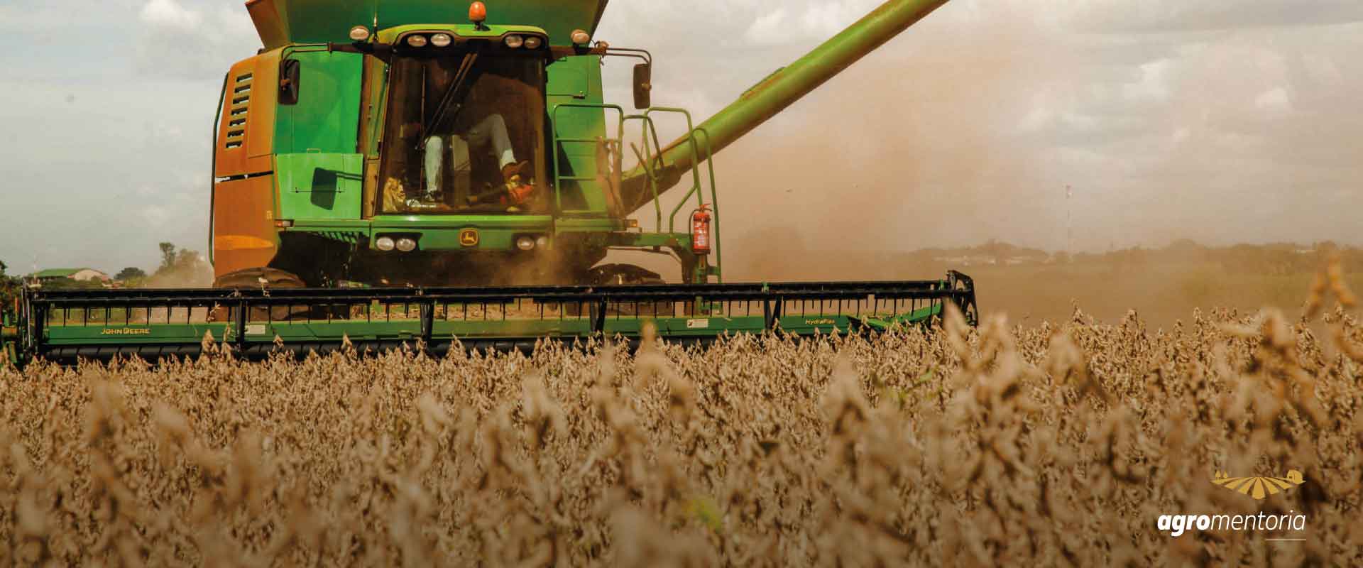 Abiove eleva estimativas de safra para 2021 e 2022