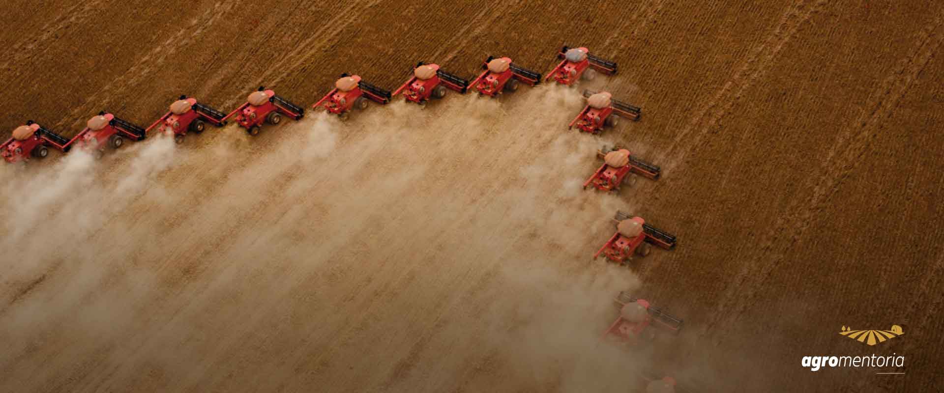 Colheita de soja chega a 5% da área no Brasil, aponta consultoria