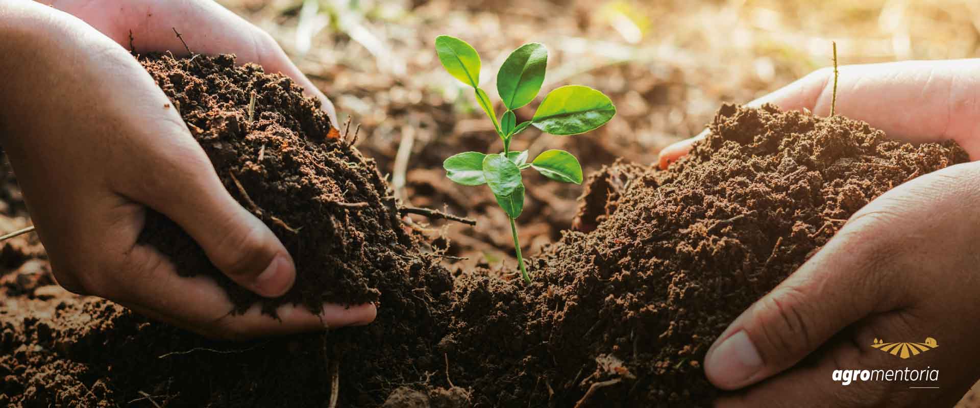 Plataforma PronaSolos avança para permitir acesso a todos que produzem dados sobre solos no Brasil
