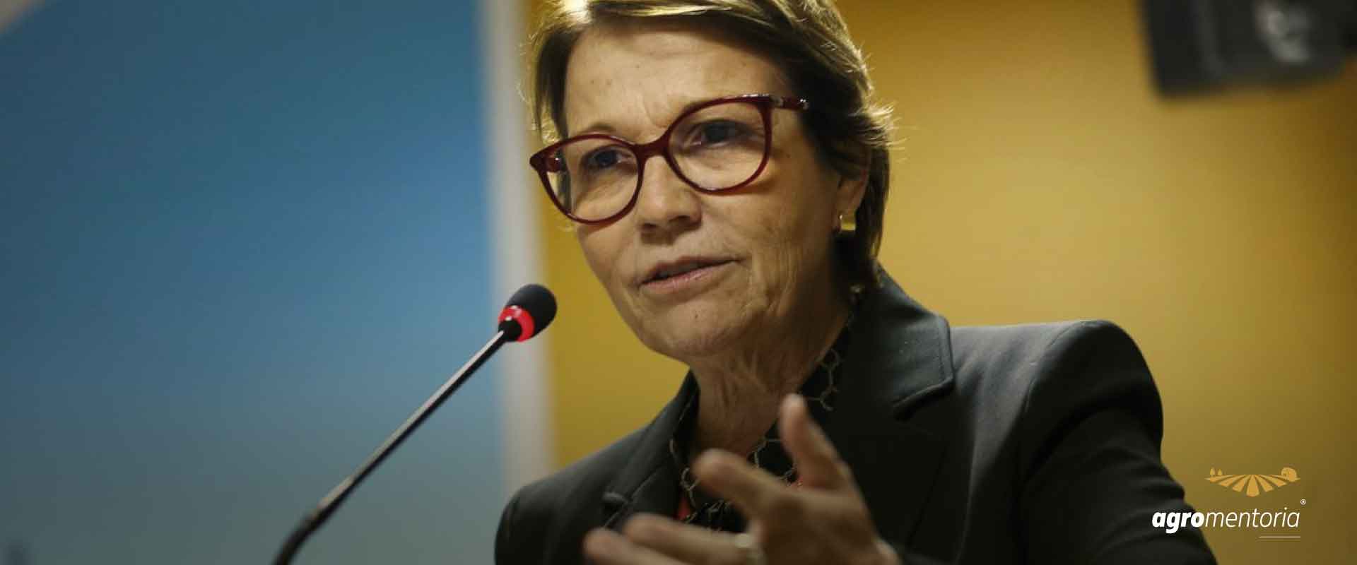 Tereza Cristina deve solicitar mais de R$ 3 bi para retorno de linhas subsidiadas