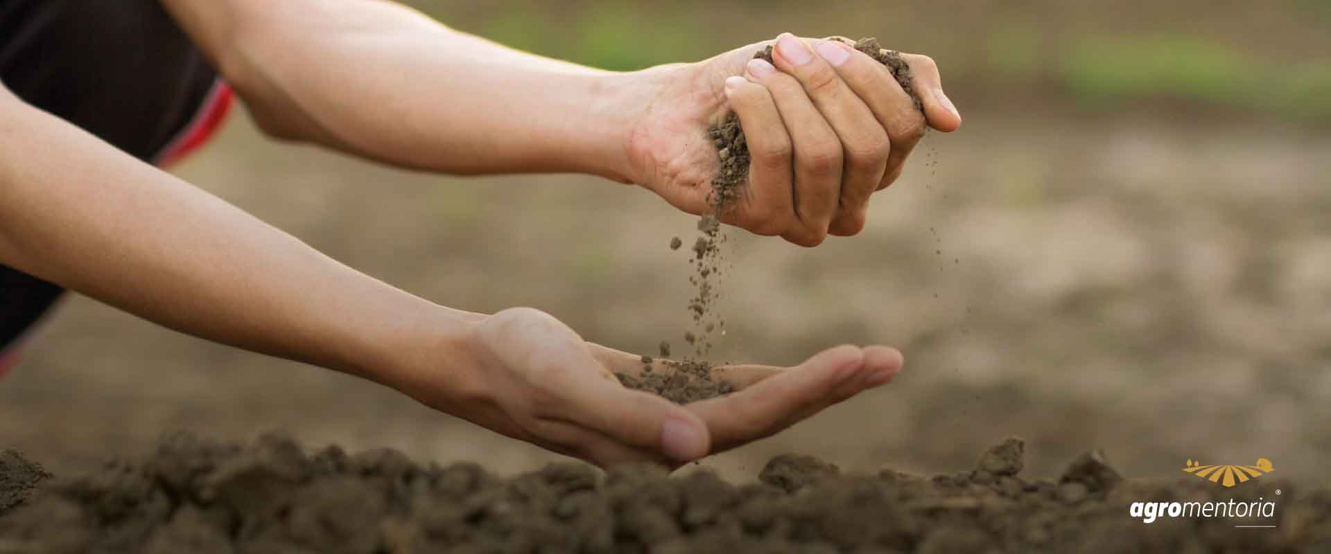 Instrução Normativa define novo método de classificação do solo no Zoneamento Agrícola