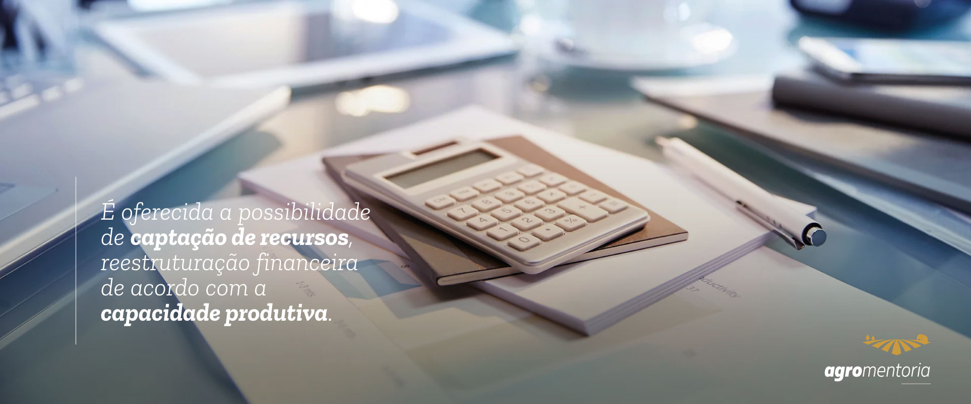 Gestão de Passivos e Investimentos de Grupos Familiares e Econômico