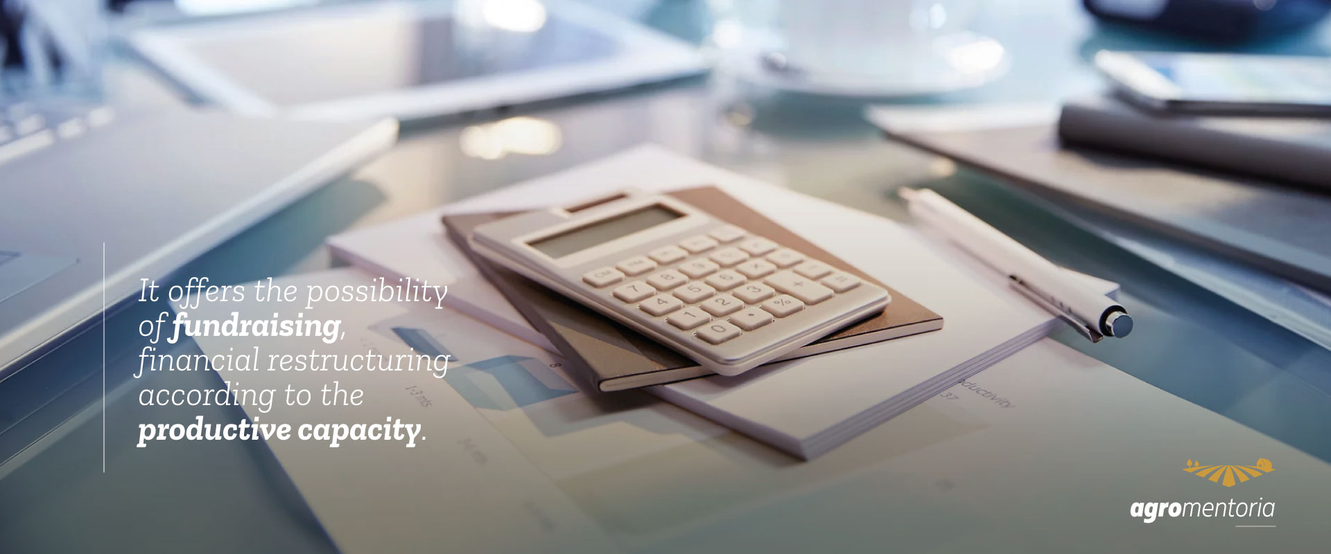 Liability and Investment Management of Family and Economic Groups