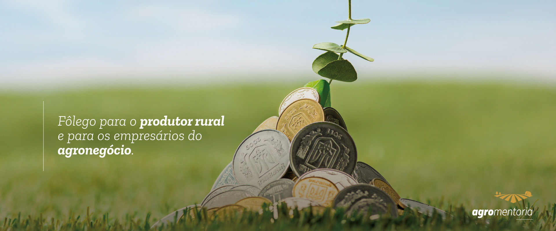 Recuperação Judicial ou Extrajudicial do Agronegócio