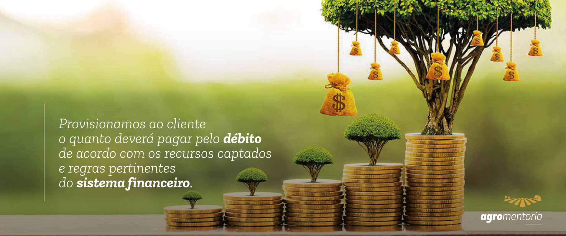 Reestruturação de Passivos de Crédito Rural – Auditoria em Operações de Crédito Rural